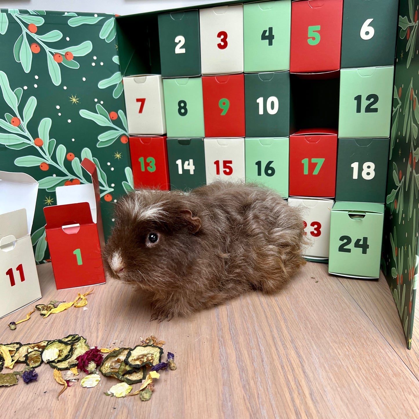 Piggie Parcels Christmas Advent Calendar