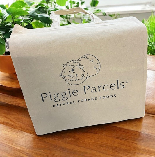 Piggie Parcels Cloth Tote Bag