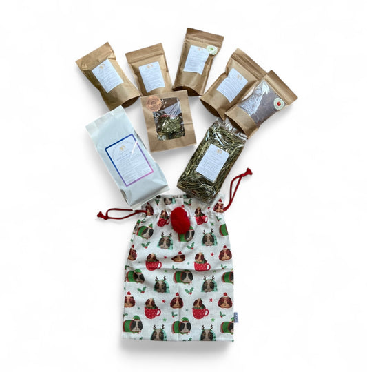 Piggie Parcels® Large Christmas Sack with Forage and Treats