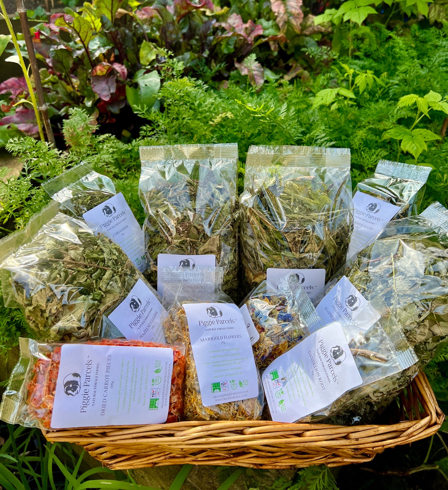 Pick Your Own Forage Piggie Parcel