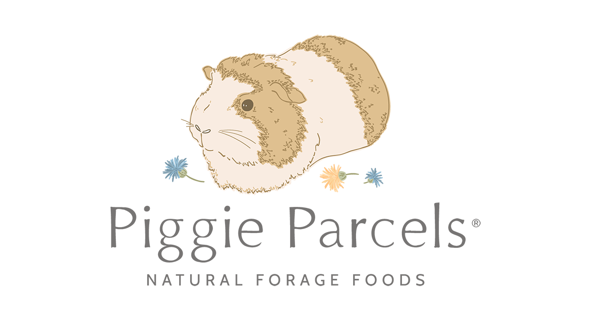 Piggie Parcels