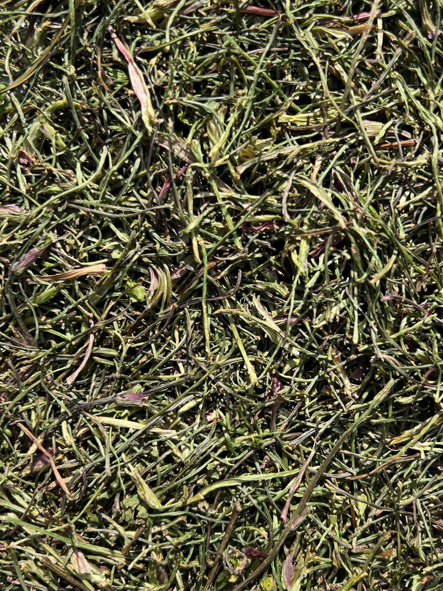 Coriander Stalks 50g