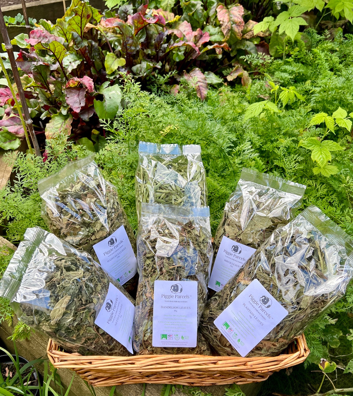 Purely Leaves Piggie Parcel