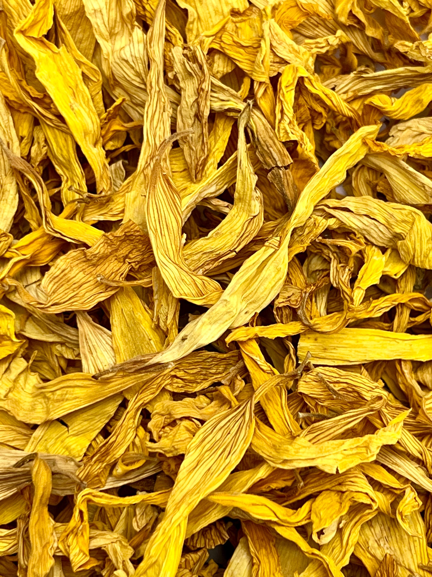 Sunflower Petals 30g