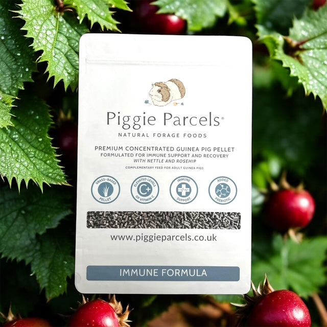 Guinea Pig Pellet - Immune Formula 1kg – Piggie Parcels