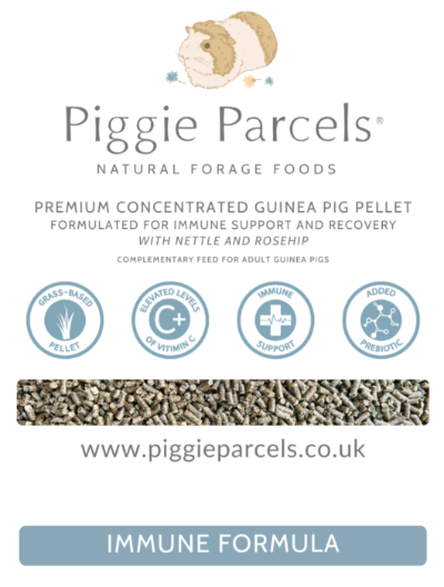 Guinea Pig Pellet - Immune Formula 1kg
