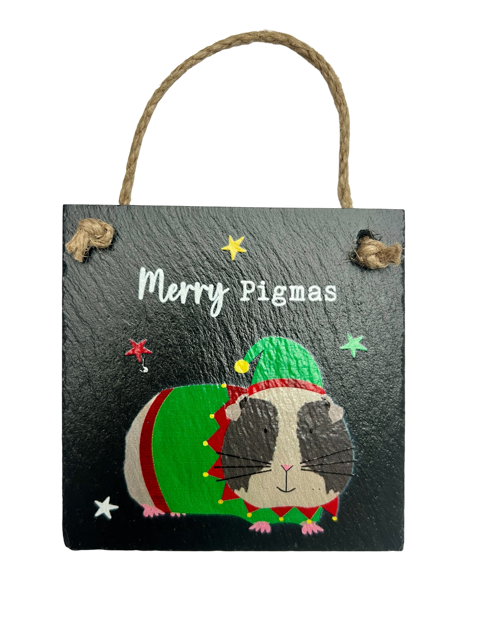 Slate Christmas hanging sign