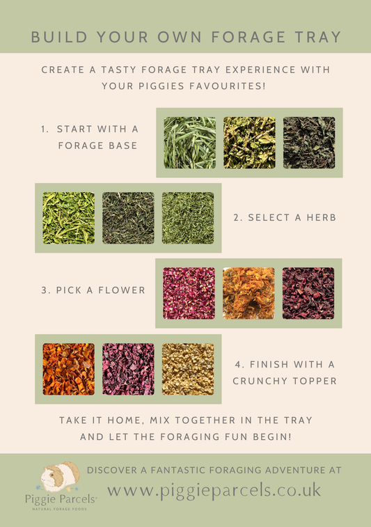 Build your own Forage Tray
