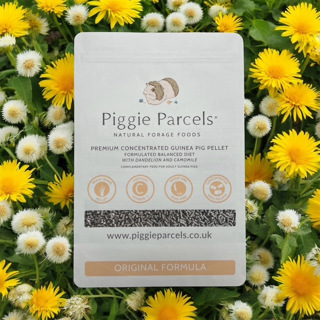 Guinea Pig Pellet - Original Formula 1kg