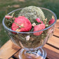 Forage Sundaes