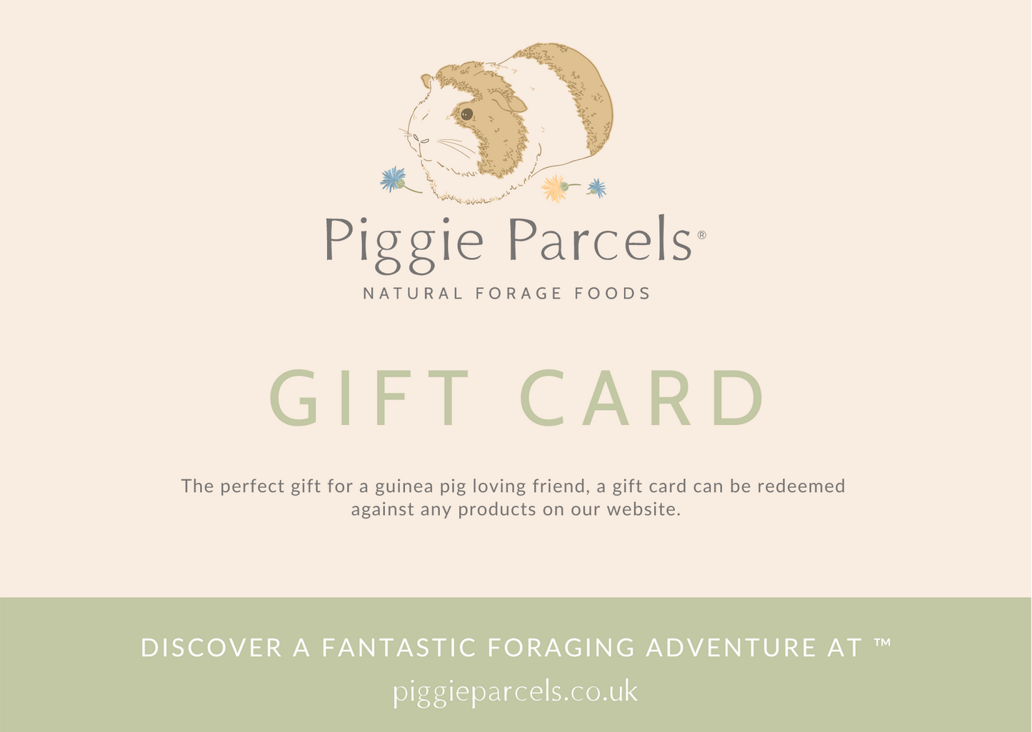 Piggie Parcels® Gift Card (EMAIL DELIVERY)