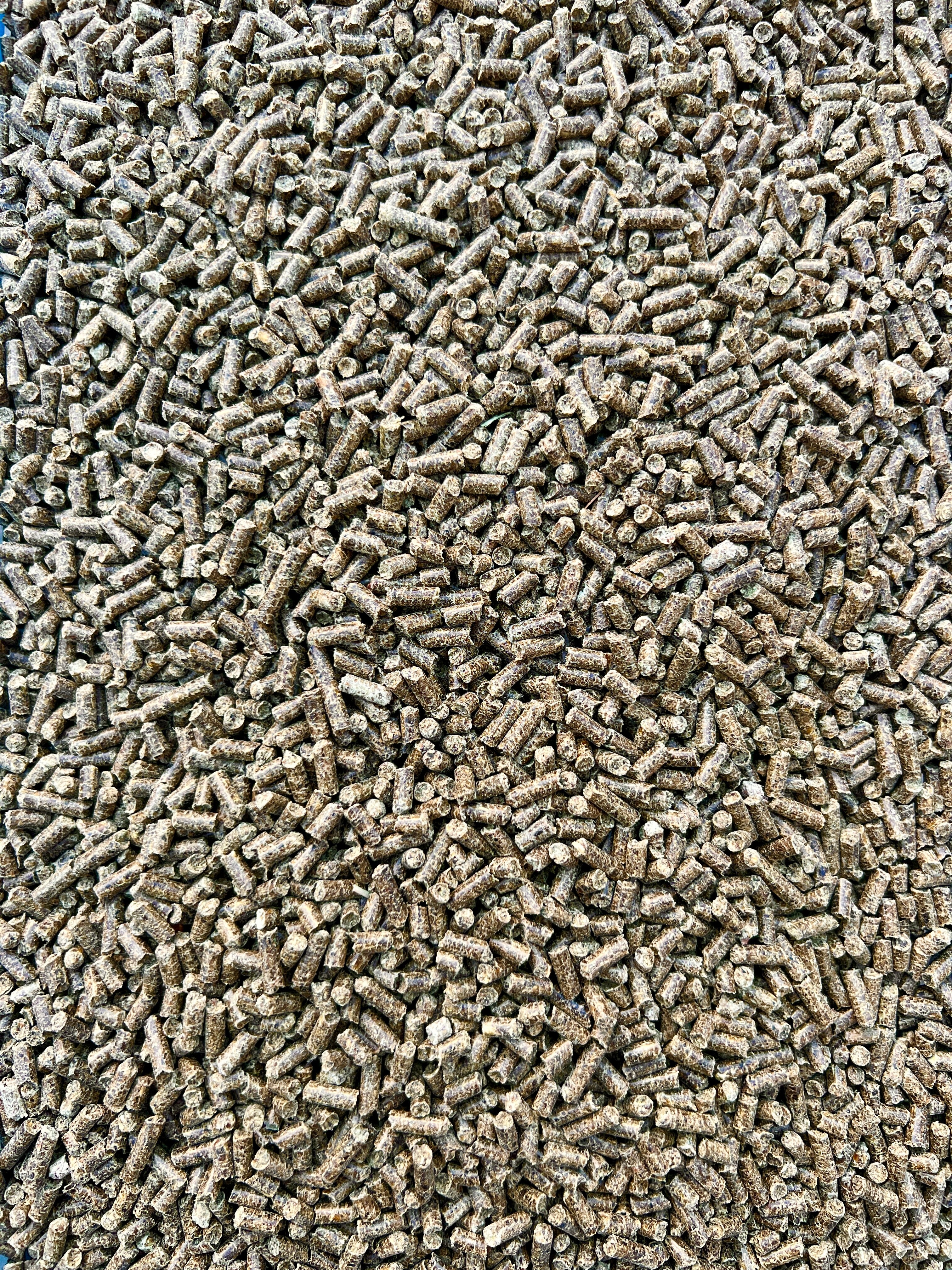 Guinea sales pig pellets